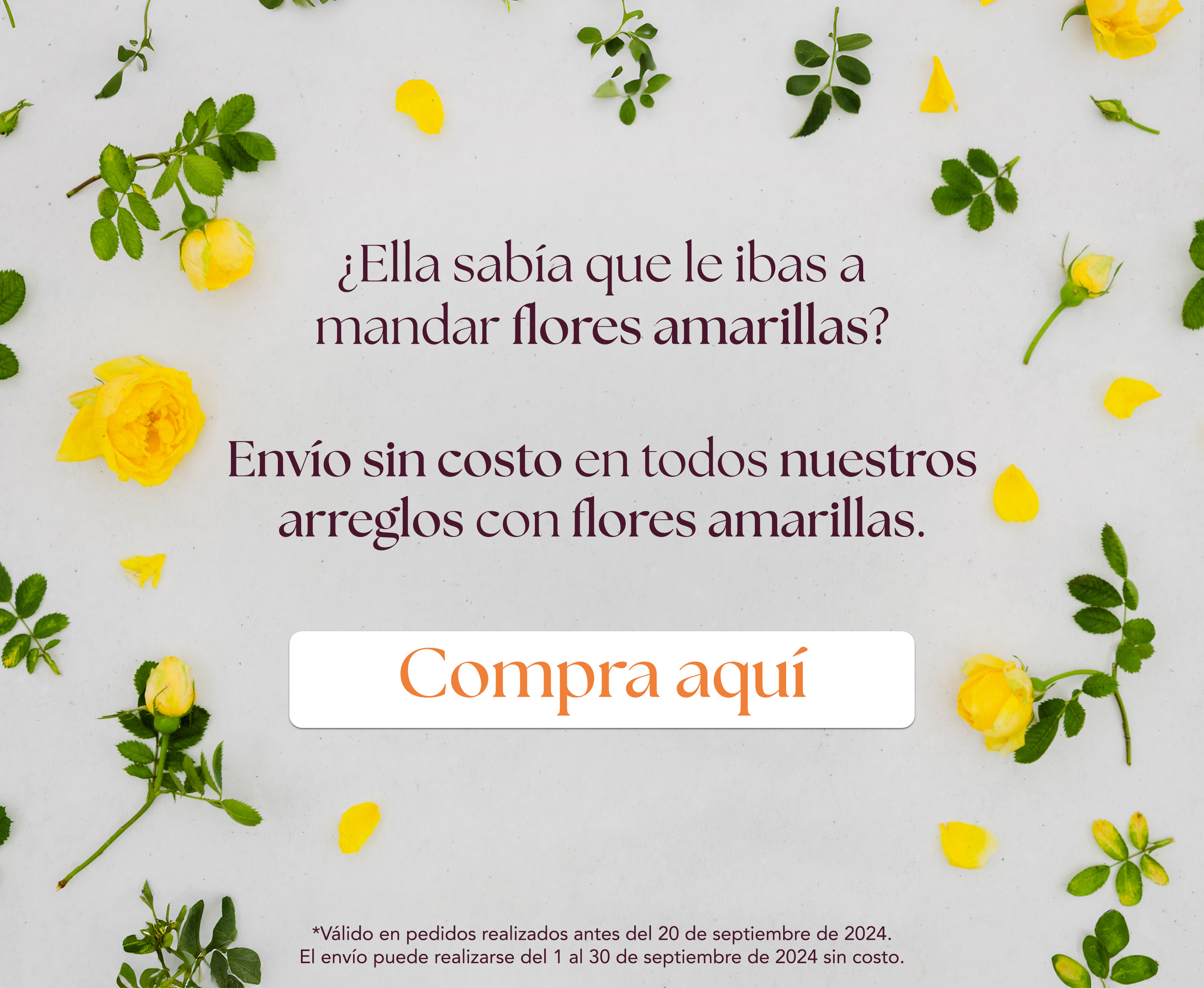 Image Slider
