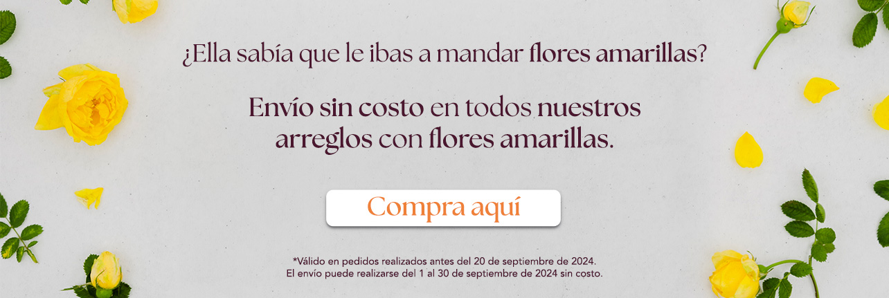 Image Slider